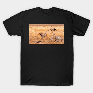 Sandhill Cranes T-Shirt